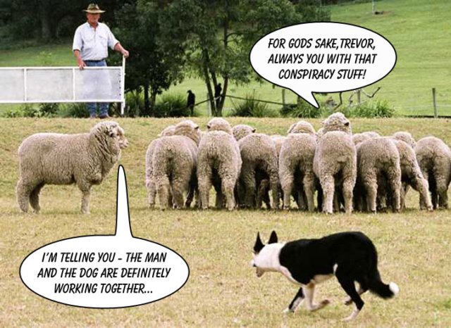 sheep_conspiracy.jpg