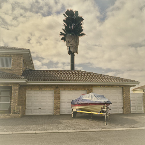 Invasive Species, Brackenfell South (2009)